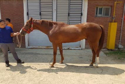 ����ȣ�� ����