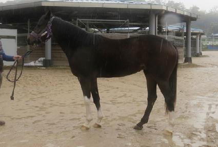 ������ ����