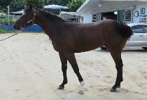 źź���� (TANTAN WINNER) ����