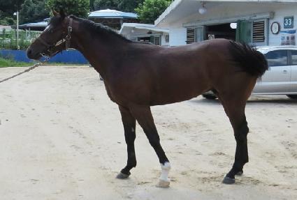 źź���� ����