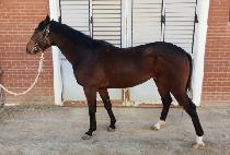 �޸����� (DALILEO) ����