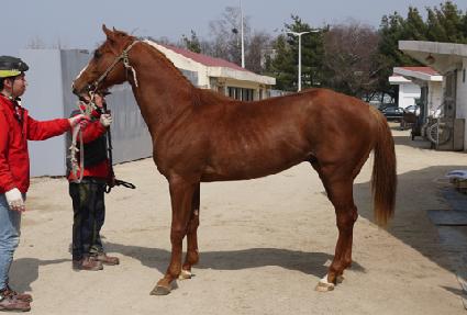 ���ึ ����