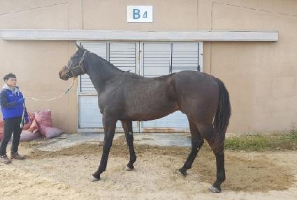 �̵峪�վ��� ����