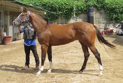 ��´��� ����