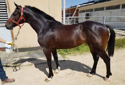 �����ͺ� ����