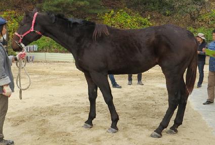 ȯ���ǽ¸� ����