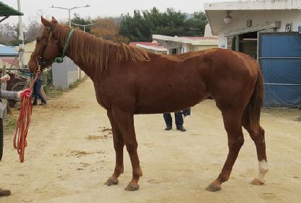 �������ְ� ����