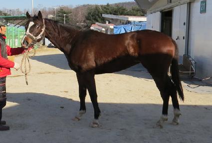 ������ī ����