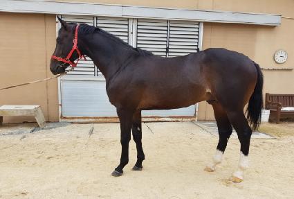 ���̸յ帲 ����