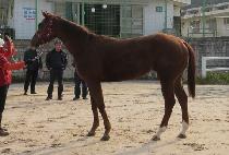 ũ�������� (CRAZY QUEEN) ����