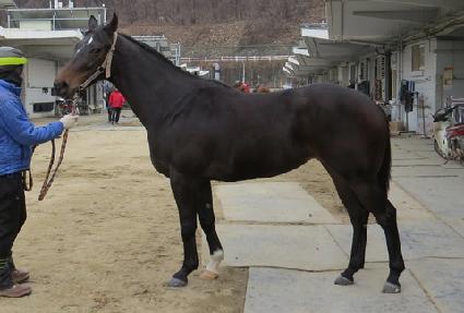 ������� ����