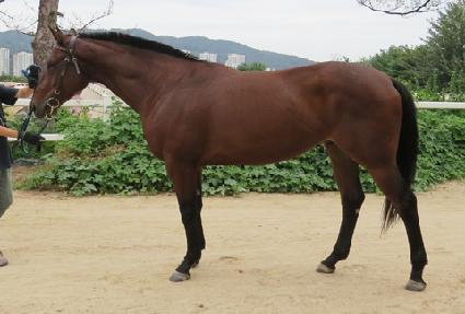 �����Ǻ�Ʈ ����