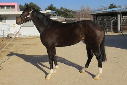 �ϴð��� ����