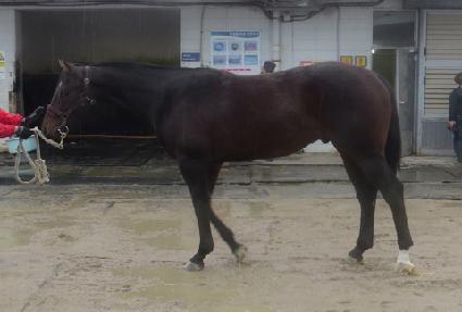 �÷�Ǯ���� ����