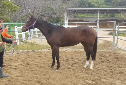 �帲���� ����