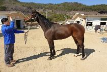 ����� (MS. UP) ����