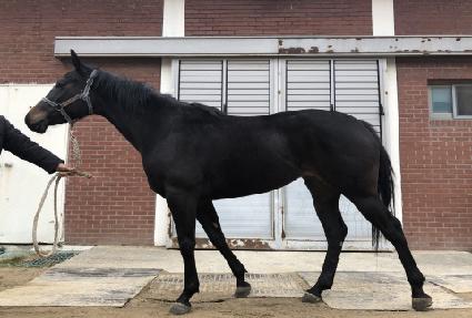 ��갩�� ����