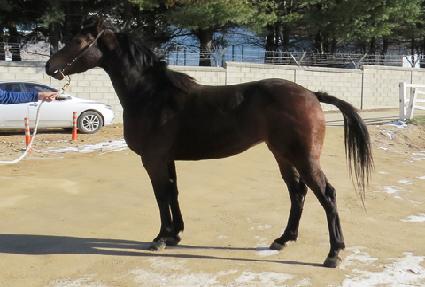 ������� ����