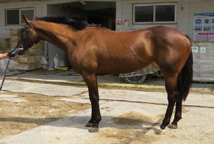 �������丮 ����