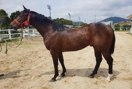 �ٹ�Ʈŷ ����