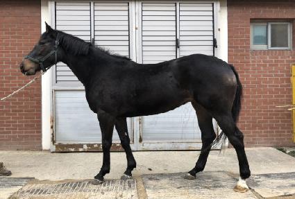 �Ի� ����