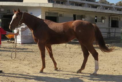 ��Ű���� ����