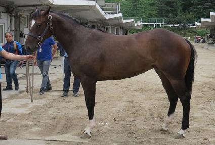 ����Ÿ ����