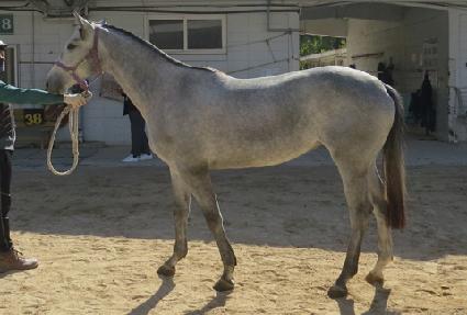 ���ī ����