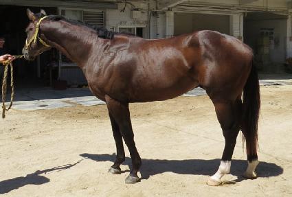 ��񿡺� ����