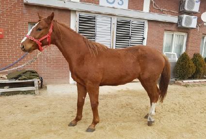 �Ķ���̽�ŷ ����