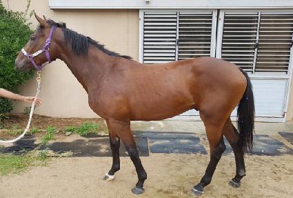 ������� ����