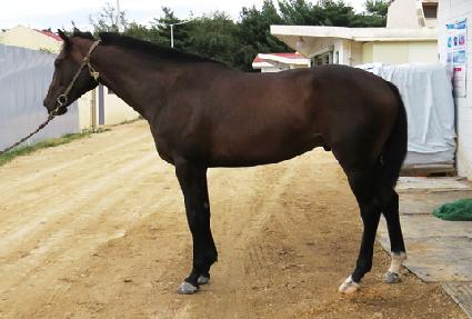 ���� ����