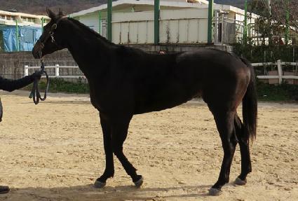 �������� ����