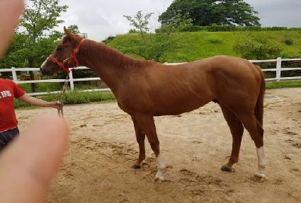 ���������� ����