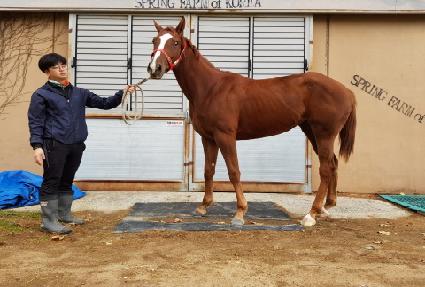 Ž�󸮽�Ʈ ����