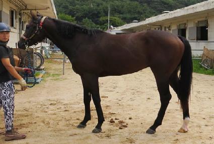 ��� ����