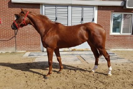 ��Ӵ�� ����