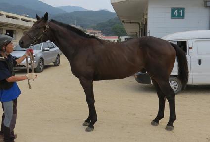 ������� ����