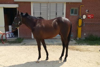 ���������� ����