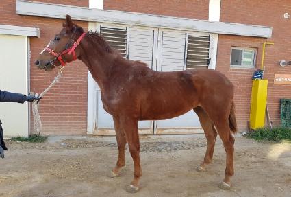 ������� ����