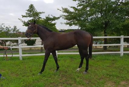 �λ��Ƽ ����