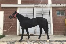 �λ�̼� (BUSAN MISO) ����