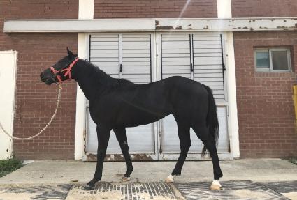 �λ�̼� ����