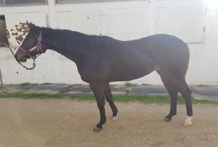 �ִϱµ��� ����