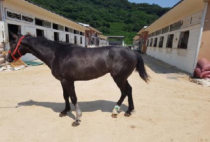 õ�������� ����