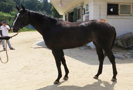 �ο����� ����