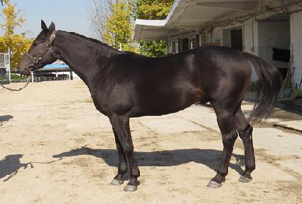 �ο������̵� ����