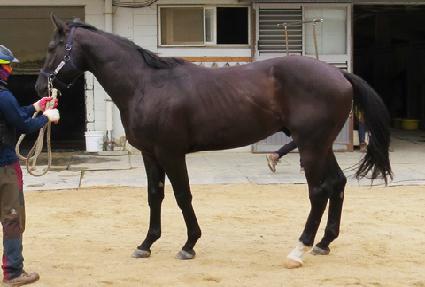 ��ƶ����屺 ����