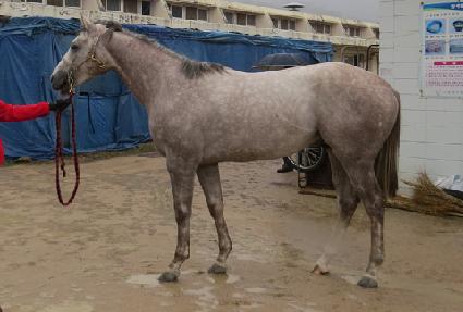 �ǹ��巡�� ����