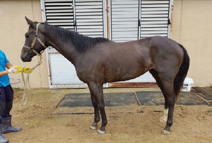 �������� ����